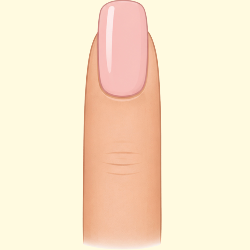 MOYEN