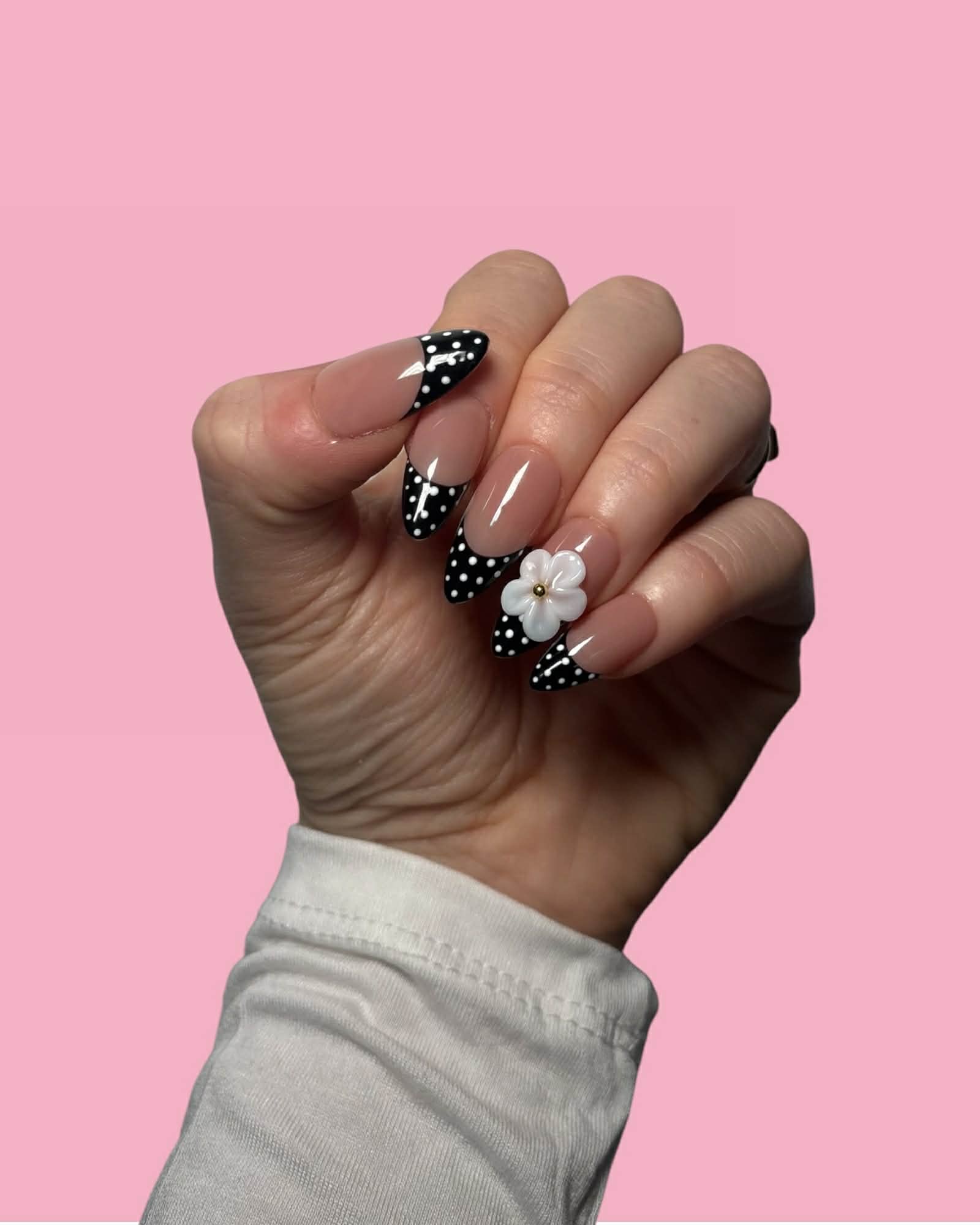 Polka Bloom