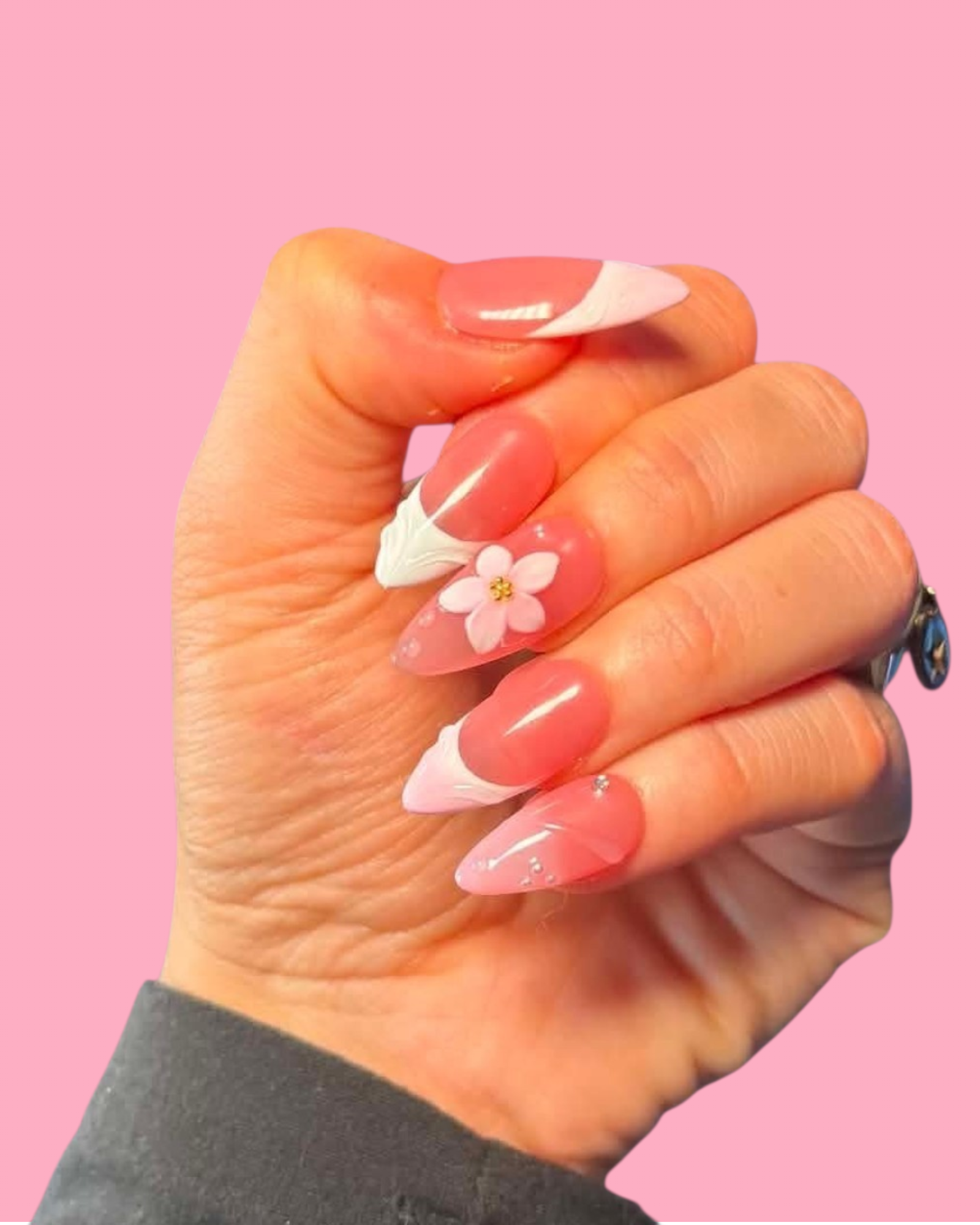 Pink Daisy