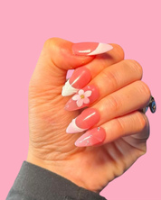 Pink Daisy