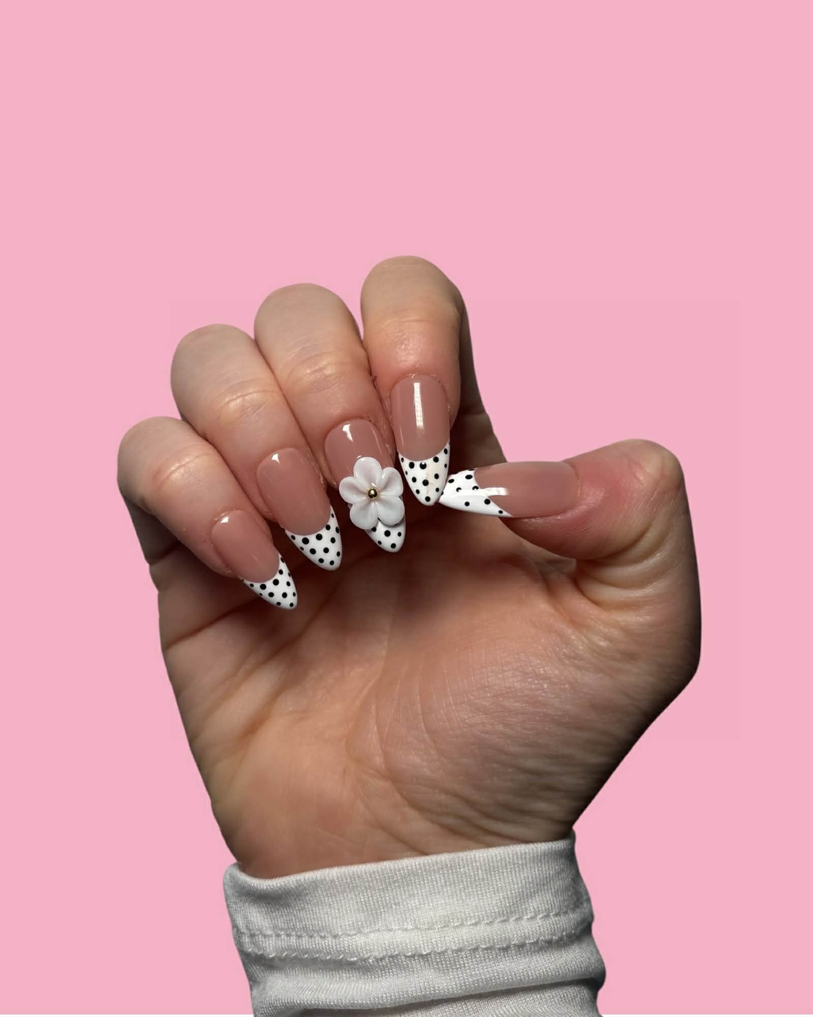Polka Bloom