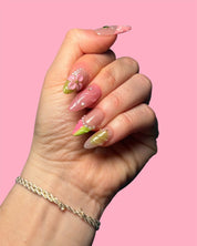 Peach Blossom
